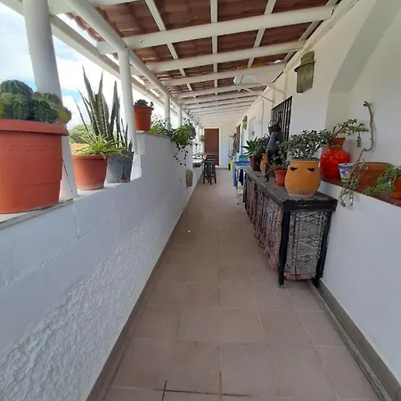 Mayte Apartment